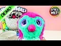 HATCHIMALS Magisches Ei schlüpft! Hatchimal Vöglein ist krank und will spielen!