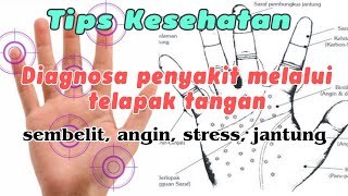 Diagnosa Penyakit Melalui Telapak Tangan ||sembelit, angin, stress, jantung ||Part 1