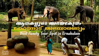 Elephants in Kodanad Kerala | Abhayaranyam Zoological Garden | One Day Family Trip Places in Kerala