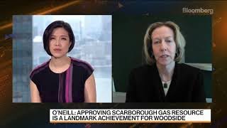 LNG is an important fuel for the future: Woodside Petroleum CEO