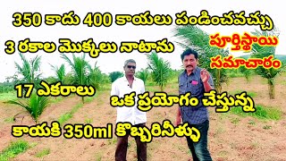 Coconut farming|Coconut cultivation|godavari ganga|hybrid Coconut|farmer success story|vvr telugu