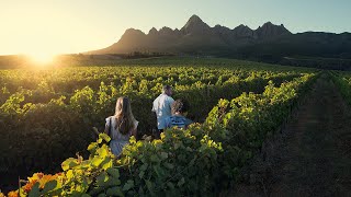 Viator - Private Winelands Explore Tour of Stellenbosch, Franschhooek and Paarl regions