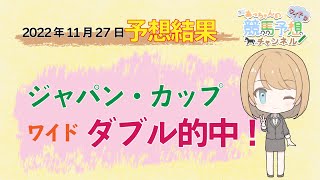 【JRA】11月27日中央競馬　東京・阪神　予想結果の的中率・回収率