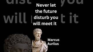 Never let the future disturb you by Marcus Aurelius.#marcusaurelius #motivation #quotes