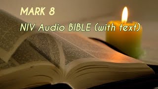 Mark 8 : NIV Audio BIBLE (with text)