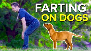 FARTING ON DOGS