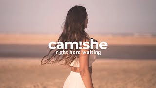 Camishe & Max Oazo - Right Here Waiting (The distance & Igi Remix) | Official Video