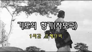 최원순 TV창작마을 (기도의 향기/사모곡 1시간 은혜단비) 최원순 \u0026 김미숙 찬양  / 최원순 작곡