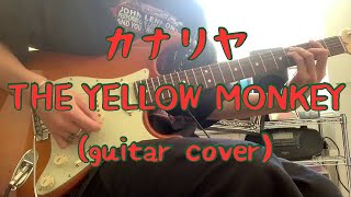 カナリヤ／THE YELLOW MONKEY 【ギター】【弾いてみた】【ギターコピー】【ギターカバー】【guitar copy】【guitar cover】