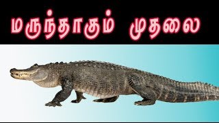 krokodil medicine / முதலை மருத்துவம்  /muthalai marunthu