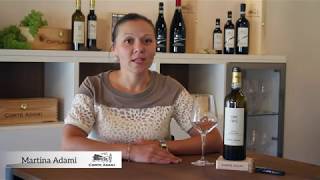 CORTE ADAMI - Soave Vigna della Corte - ENG