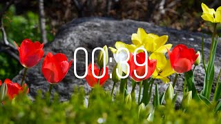 39 Second Timer with Music | Spring Timer🌹