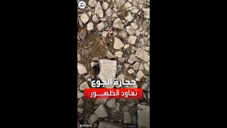 جف نهر الراين فظهرت \