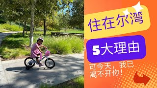 住在尔湾的理由二：安全！尔湾定居｜南加定居｜尔湾介绍｜北美生活｜尔湾城市｜加州｜南加州房价