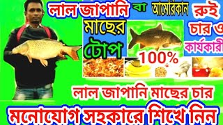 #mithu#মিঠু#লাল জাপানি মাছের চার ও টোস | Four and bait of red Japanese fish