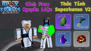 Blox Fruits - Cách Farm Nguyên Liệu Thức Tỉnh Super Human V2 | Roblox