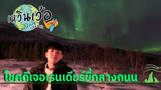 EP.3 : โชคดีเจอเรนเดียร์ขี้กลางถนน l Chilling around Lofoten Islands