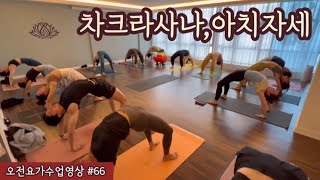 [엔젤요가] 오전요가 수업영상 #66