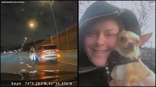 Kindhearted drivers help catch chihuahua on NYC expressway