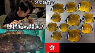 究極食材·活體瘤鯛 （金黃突額隆頭魚）x 港產荷包魚 |香港海鮮｜fishcutting｜大飛品魚｜Seafood ｜海鮮加工