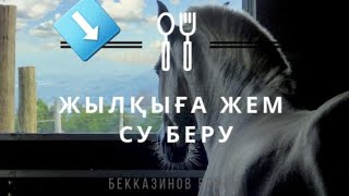 Жылқыға жем-су  беру уақыты.