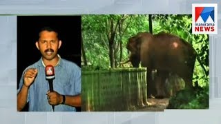 Wild elephants on an outing; people spend scary nights at Palakkad-Thrissur border| Manorama News