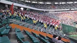 関西側スタンド　第95回全国高等学校野球選手権記念岡山大会　決勝　2013 07 26