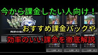 【De:Lithe】これから課金したい人向け！効率いい課金やおすすめ課金パックを紹介！【ディライズ】