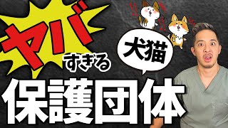 この保護いぬねこ団体は『ヤバすぎる…！』実際にあった\