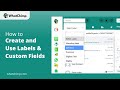 Understanding Labels & Custom Fields in WhatChimp | WhatChimp Basics