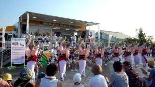 阿波踊り・娯茶平連（Tokushima Awa-odori・GOJAHEIREN）