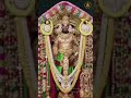 glimpses of venkateshwara the divine protector