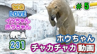 世界一暴れまくるシロクマ、ホウちゃんの生の動画です。このホウちゃんより元気なシロクマさんはいない！と断言出る、そんな動画です。世界中のシロクマファン、見て驚いて下さい。【イッちゃんホウちゃん231】