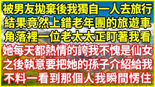 被男友拋棄後我獨自一人去旅行，結果竟然上錯老年團的旅遊車，角落裡一位老太太正盯著我看，她每天都熱情的誇我不愧是仙女，之後執意要把她的孫子介紹給我，不料一看到那個人我瞬間愣住！#情感故事 #深夜淺談