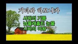 #사랑의기쁨#남몰래흘린눈물#시바의여왕#mr반주음악하모니카연주#거제도하모니카#김대동#