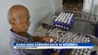 Hawaii farmers face challenges, but one Hawaii egg producer gives their all for kama'aina