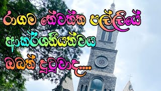 රාගම තේවත්ත පල්ලියේ සුන්දරත්වය. #beautiful #video #srilanka 🕍️🕍️🕍️ #the church Ragama##