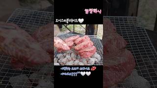 #부채살 #소고기스테이크 #추천 #트레이더 #코스트코 #소고기 #가족캠핑 #캠핑음식 #캠핑요리