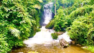 ഒരേ റോഡിൽ പതിമൂന്ന് വെള്ളച്ചാട്ടം കാണണോ ഇപ്പോൾവിളിച്ചോ :8848148822😱😱😳😳#viral #waterfall #mankulam