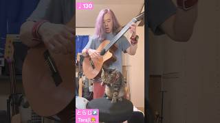 2024年12月26日 ギター練習ガットギター Guitar Practice / Classical Guitar Spanish Romance ♩130