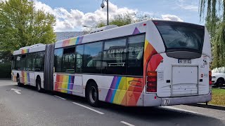 Irigo - Keolis Angers - Scania Omnicity G Euro 2 n°667 - Ligne E20