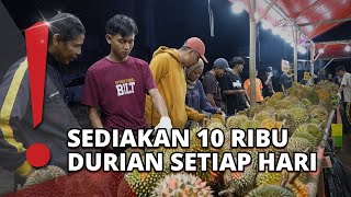 Lagi Musim Durian, Pemburu Hingga Penjual Ramai-ramai Cari Cuan