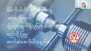 အမှန်တကယ်မသန်စွမ်းခြင်းက ဘယ်မှာဖြစ်တည်နေတာလဲ နန်းမေသဲအေး