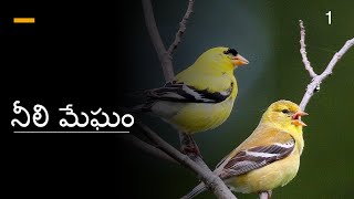 నీలి మేఘం Part - 1