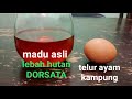 cara campur madu asli dengan telur ayam kampung