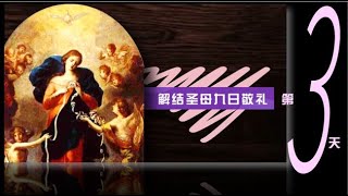 第三天 | 解结圣母九日敬礼