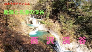 【西沢渓谷　新緑と名瀑の渓谷】