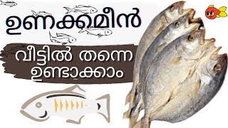 How to make tasty homely dried fish ഉണക്കമീൻ വീട്ടിൽ എങ്ങിനെ ഉണ്ടാക്കാം Unakkameen |Dry Fish