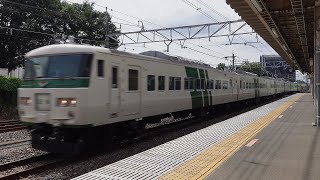 185系に乗る上野～黒磯日帰りの旅 蓮田駅入線と発車シーン