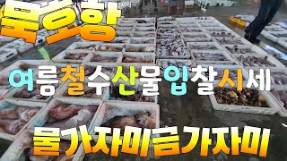 水産市場 동해묵호항 위판장 여름철 각종수산물 입찰시세, 물가자미가격 폭등 견문록♡삶2219/Mukho port fish market, korea